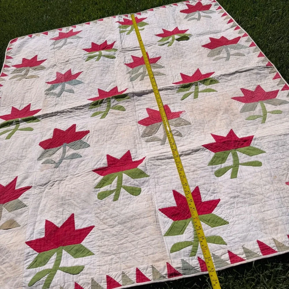 Antique Handmade Floral Applique Quilt Green White Sawtooth Border 53x44 50/60's